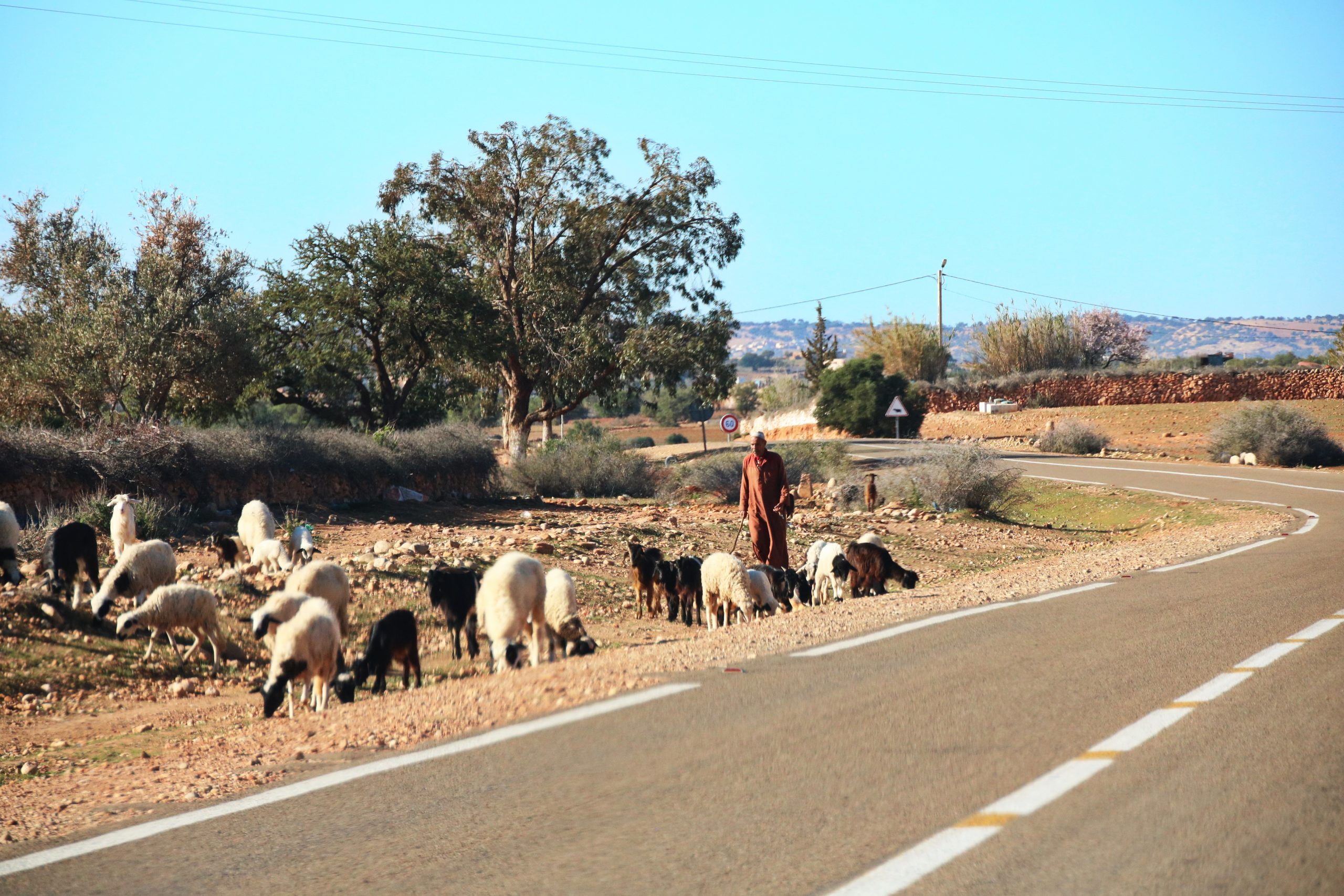 What you should know before renting a car and driving in Morocco