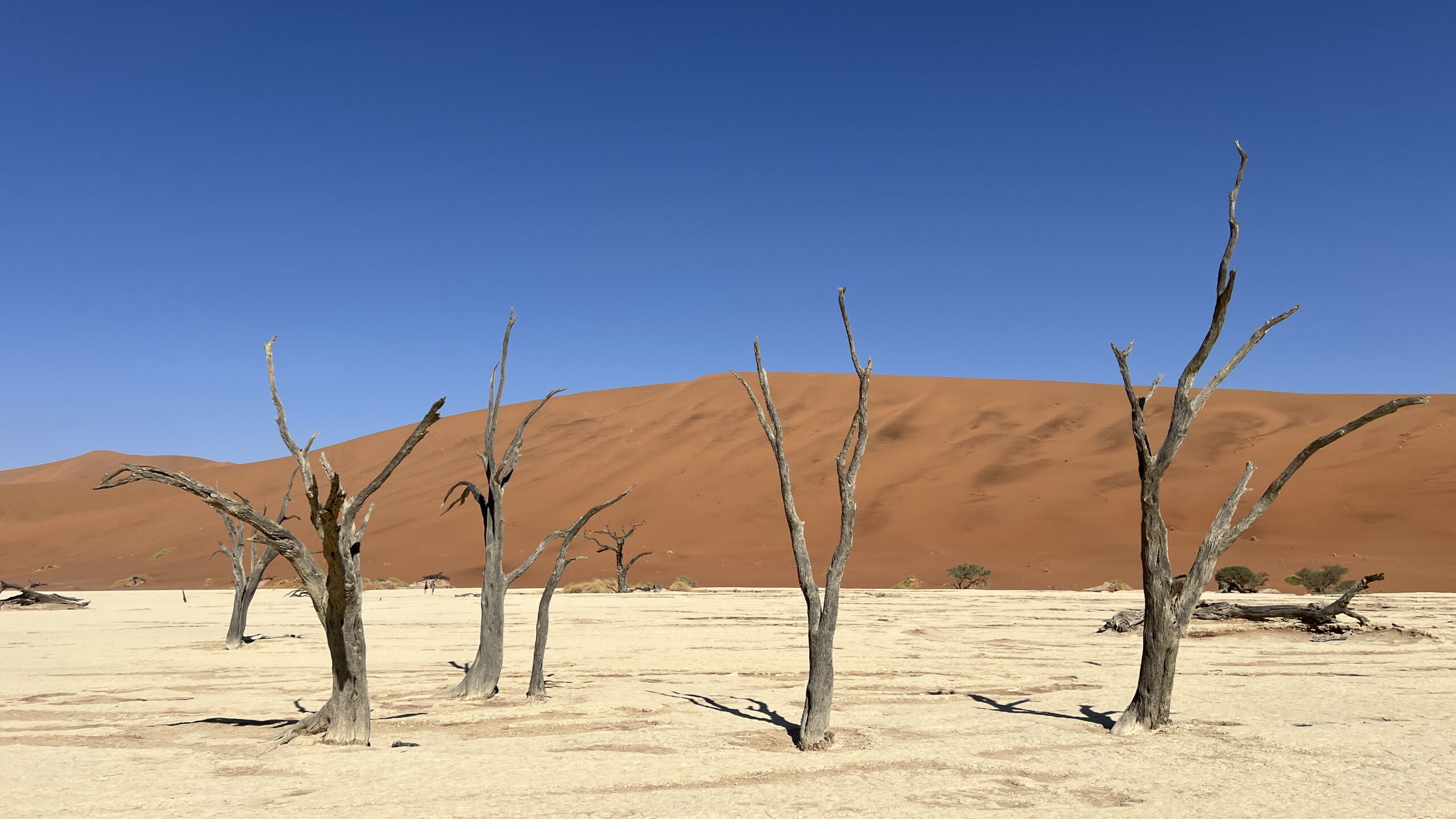 Three-week road trip in Namibia from Fish river to Etosha