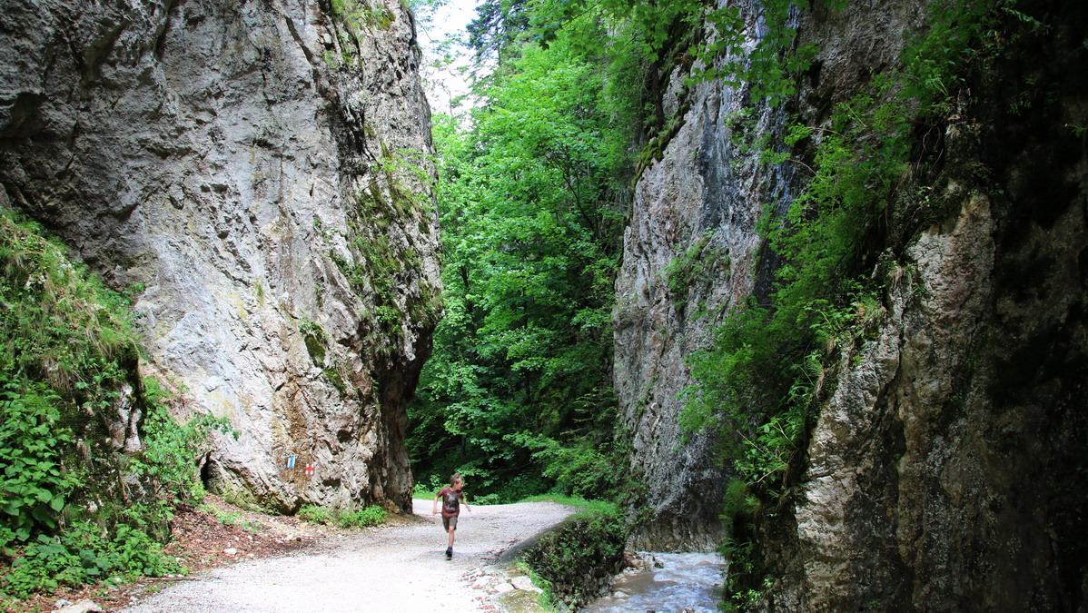 Piatra Craiului national park